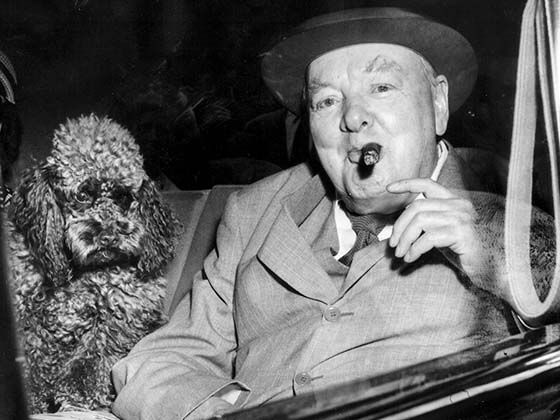 ο Άγγελος Μόσχοβας