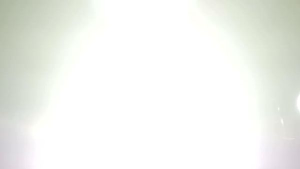 o Ανδρέας Πετρουλάκης